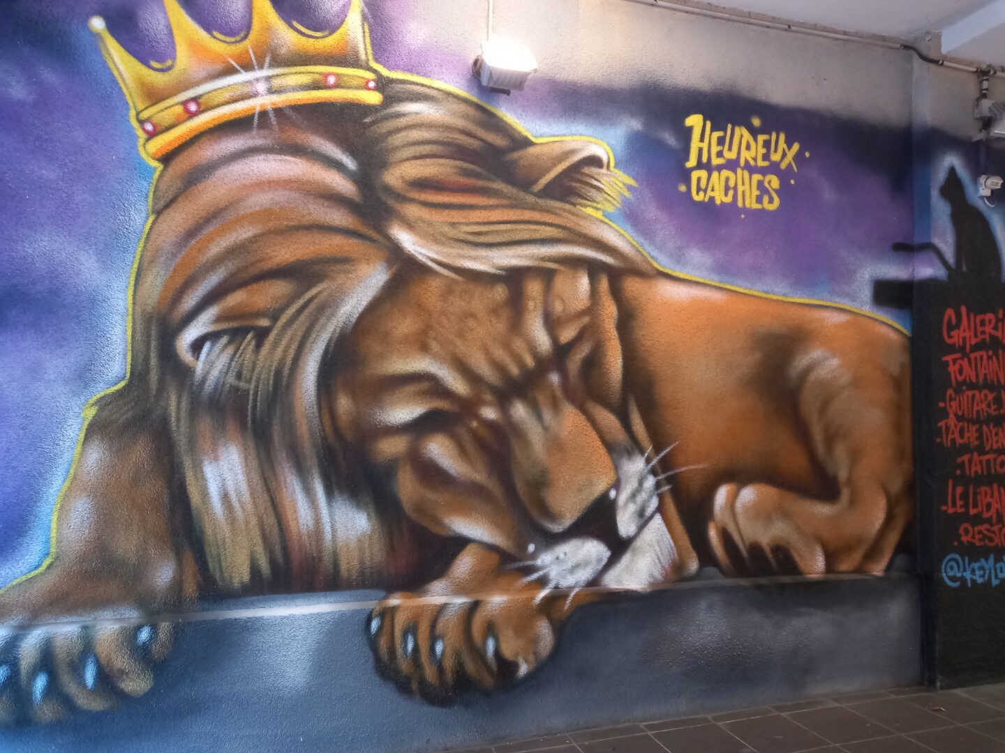 [Justine CM] Rue piétionne. Photo prise en novembre 2021. Lion qui dort, avec une couronne sur la tête. Il est écrit "heureux cachés'.