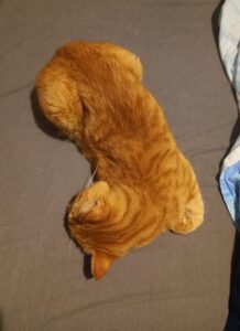 Auron, mon chat tigré roux, qui dort dans une drôle de position (tout de travers, les pattes repliées contre lui).