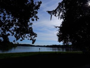 Ciel bleu parcouru d'un voile blanc par endroits, encadré par deux arbres au bord d'un étang (Étang des Forges, Belfort).
